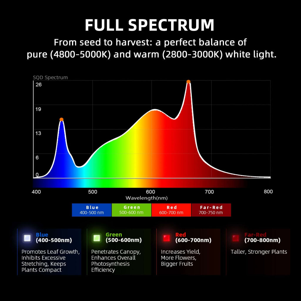 Spider Farmer G1000W x 2 LED Grow Lights + 5' x 10' Grow Tent + 6" Inline Fan Combo with Temperature and Humidity Controller + 6" Clip Fan
