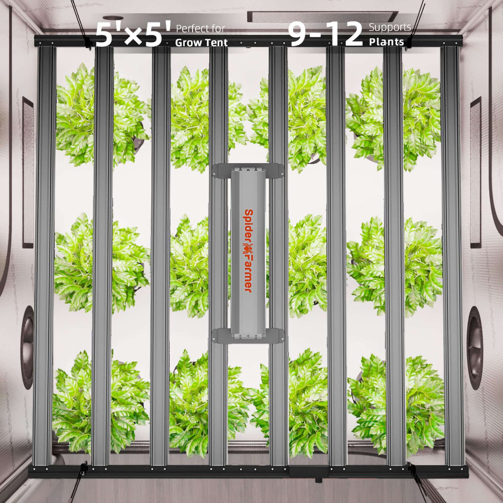 Spider Farmer G1000W x 2 LED Grow Lights + 5' x 10' Grow Tent + 6" Inline Fan Combo with Temperature and Humidity Controller + 6" Clip Fan