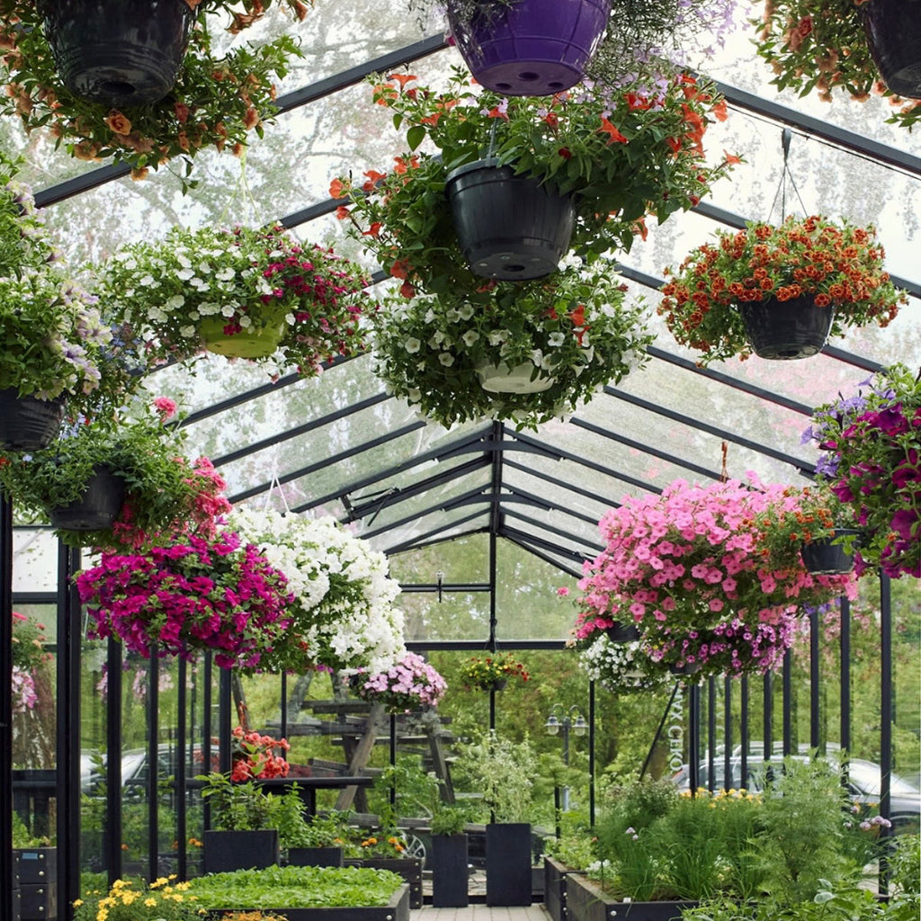 Bloom Cabin Aluminum Grand Orangerie Greenhouse | Luxury Estate Garden Conservatory
