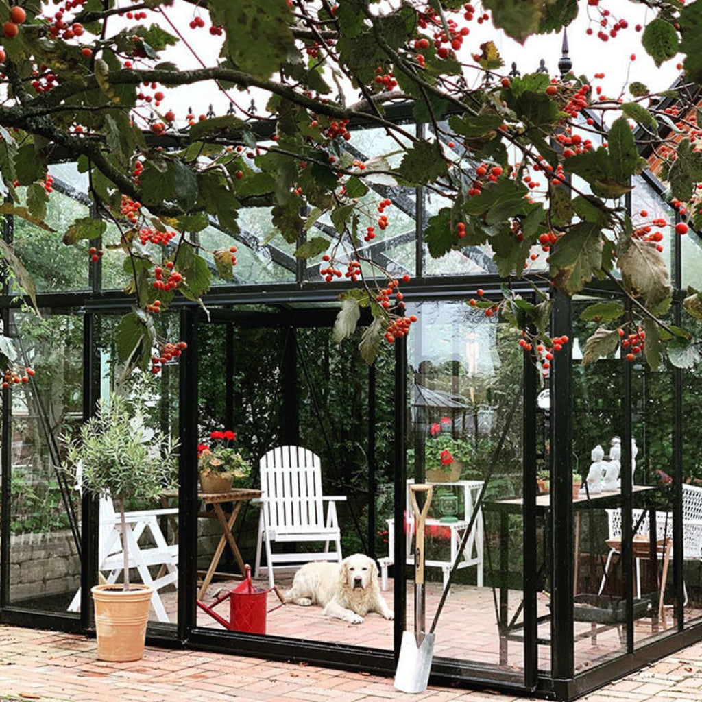 Janssens Modern Series | Contemporary Aluminum Greenhouse